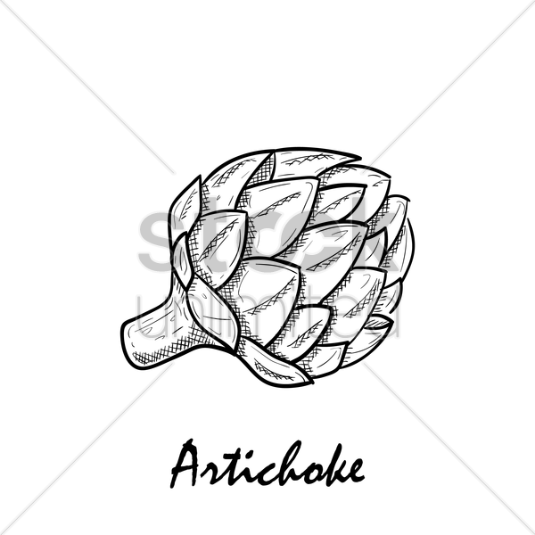 600x600 Artichoke Vector Image