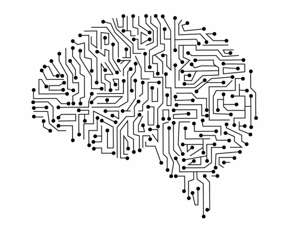 920x739 Brain Vector Png