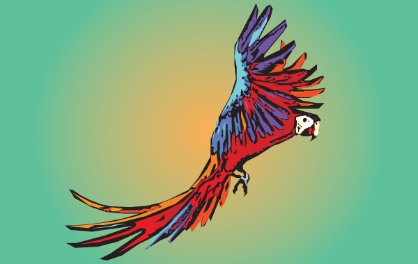 600x380 Free Vectors Vector Artistic Guacamaya Bird Luis Olavarria