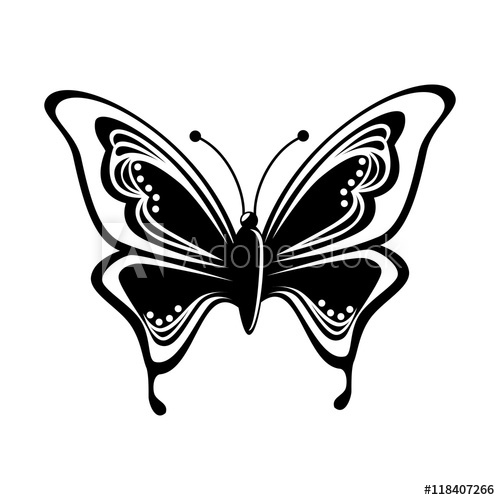 500x500 Butterfly Animal Insect Animal Wings Fly Spring Artistic Vector