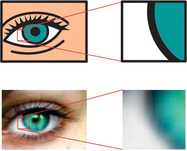 638x514 What Is Vector Art And Why Should I Care