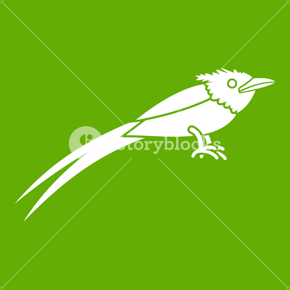 Asian Paradise Flycatcher Icon White Isolated On Green Background 1000x1000 Asian Paradise Flycatcher Icon White Isolated On Green Background