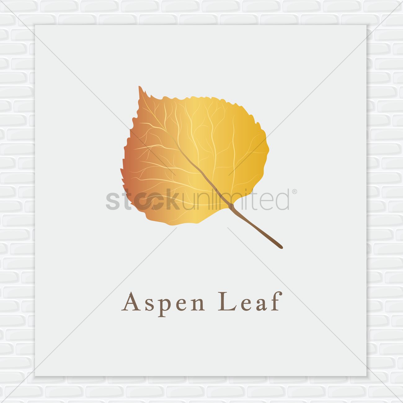 1300x1300 Aspen Leaf Vector Image