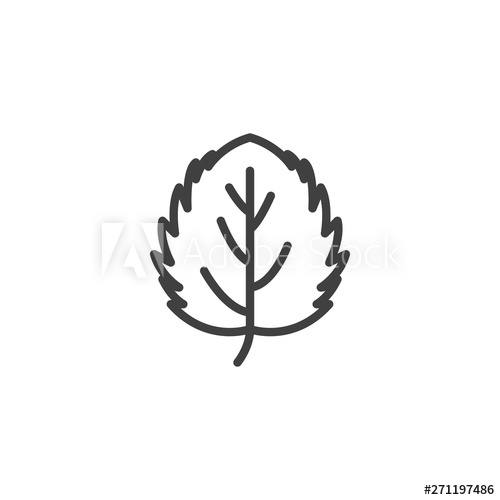 500x500 Aspen Leaf Line Icon Linear Style Sign For Mobile Concept And Web