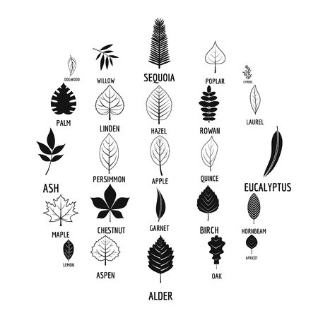 Aspen Leaf Vector at Vectorified.com | Collection of Aspen Leaf Vector ...