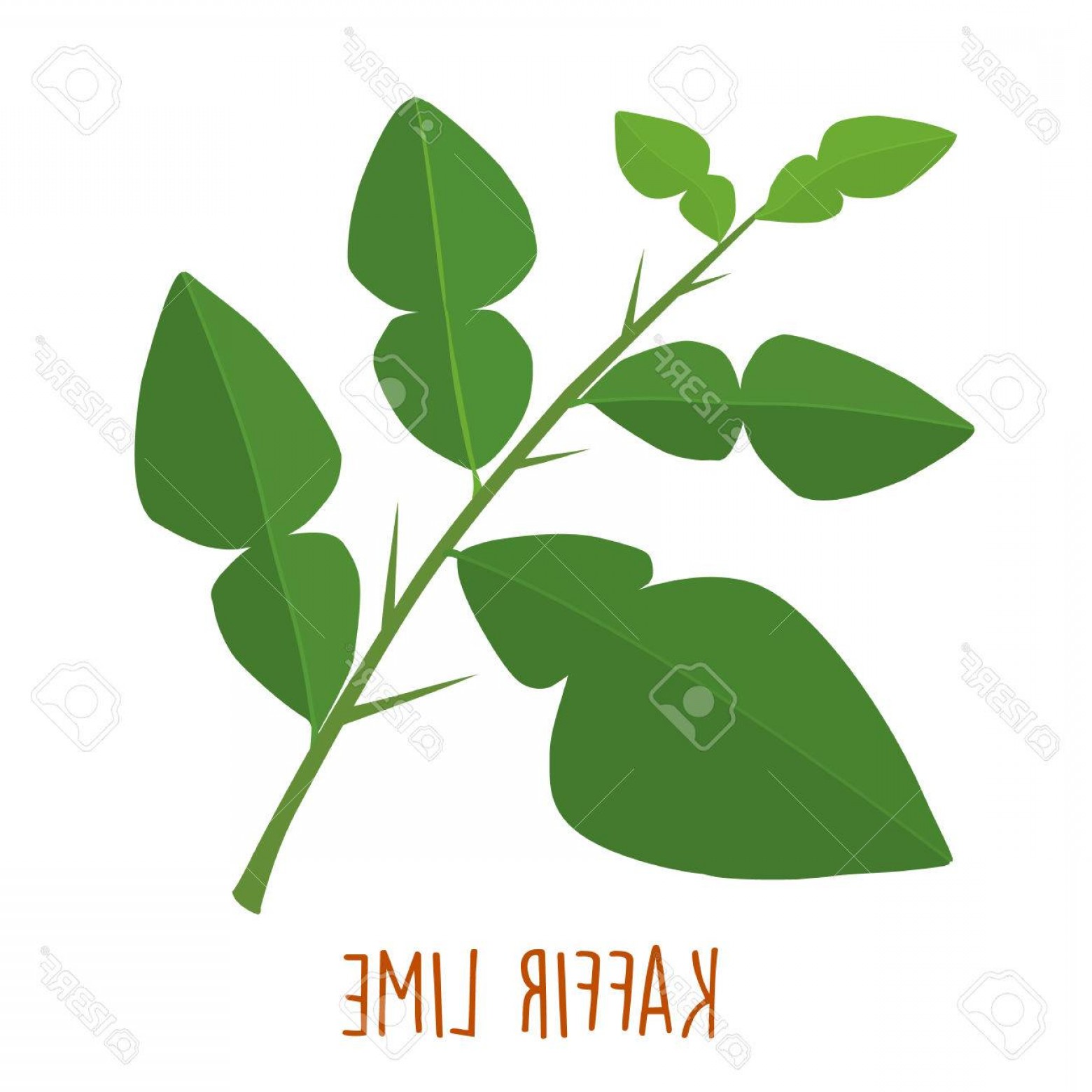 1560x1560 Snow Leaf Vector Hoodamathrun