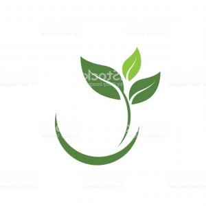 300x300 Vector Illustration Frozen Snow Aspen Leaf Hoodamathrun