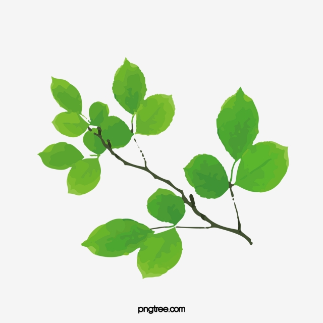 640x640 Vector Leaf Element, Leaf, Vector Leaves, Green Leaf Png