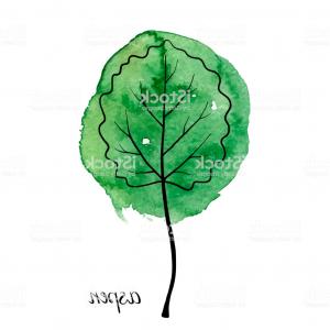 300x300 Aspen Tree Green Leaf Vector Wallkeeper