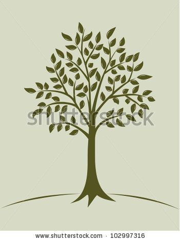 351x470 Aspen Tree Art Tree Illustration, Vector Trees, Oak Tree
