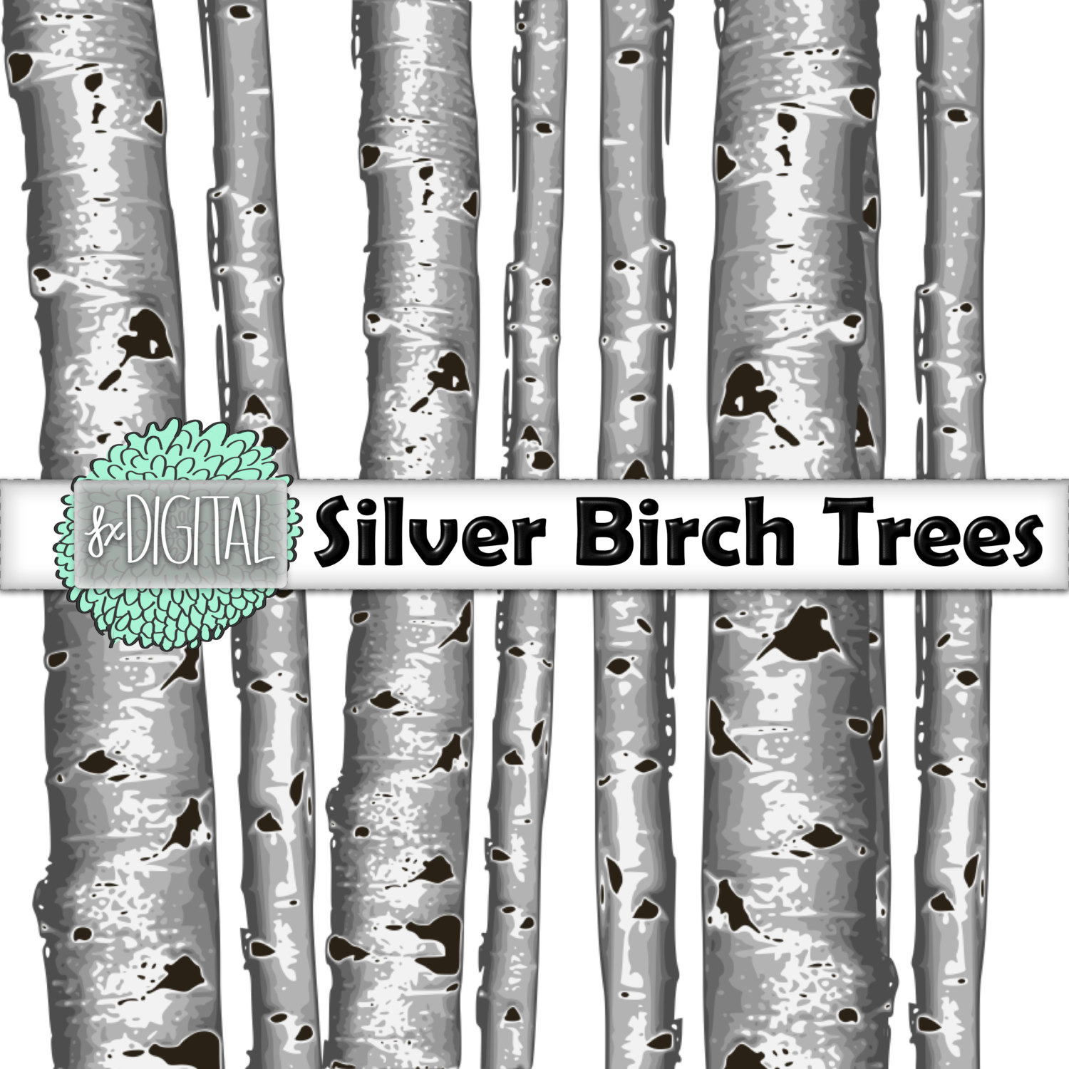 1500x1500 Aspen Trees Clipart