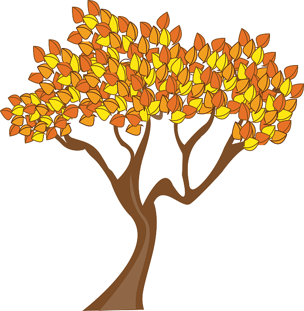 625x640 Aspen Tree Vector Black And White Stock Png Files, Free Clip Art