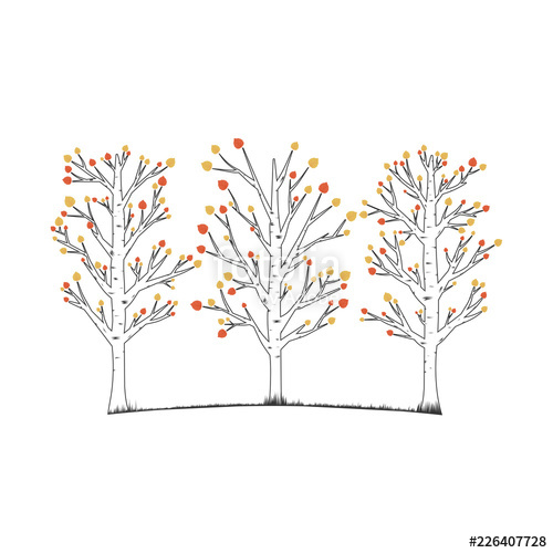 500x500 Aspen Trees Vector Illustration Stock Image And Royalty Free