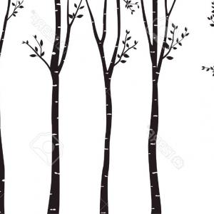 300x300 Hand Drawn Aspen Birch Trees Vector Cultracing