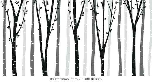 Aspen Tree Vector at Vectorified.com | Collection of Aspen Tree Vector ...