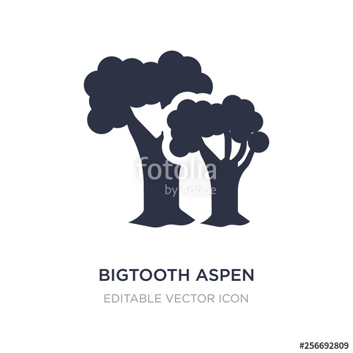 Aspen Tree Vector at Vectorified.com | Collection of Aspen Tree Vector