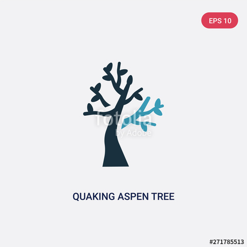 500x500 Two Color Quaking Aspen Tree Vector Icon From Nature Concept
