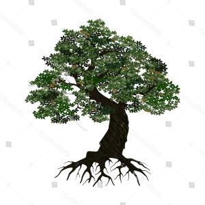 300x300 Aspen Tree Leaf Icon Set Stamp Catchsplace