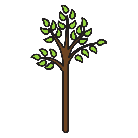 550x550 Aspen Tree Png Images