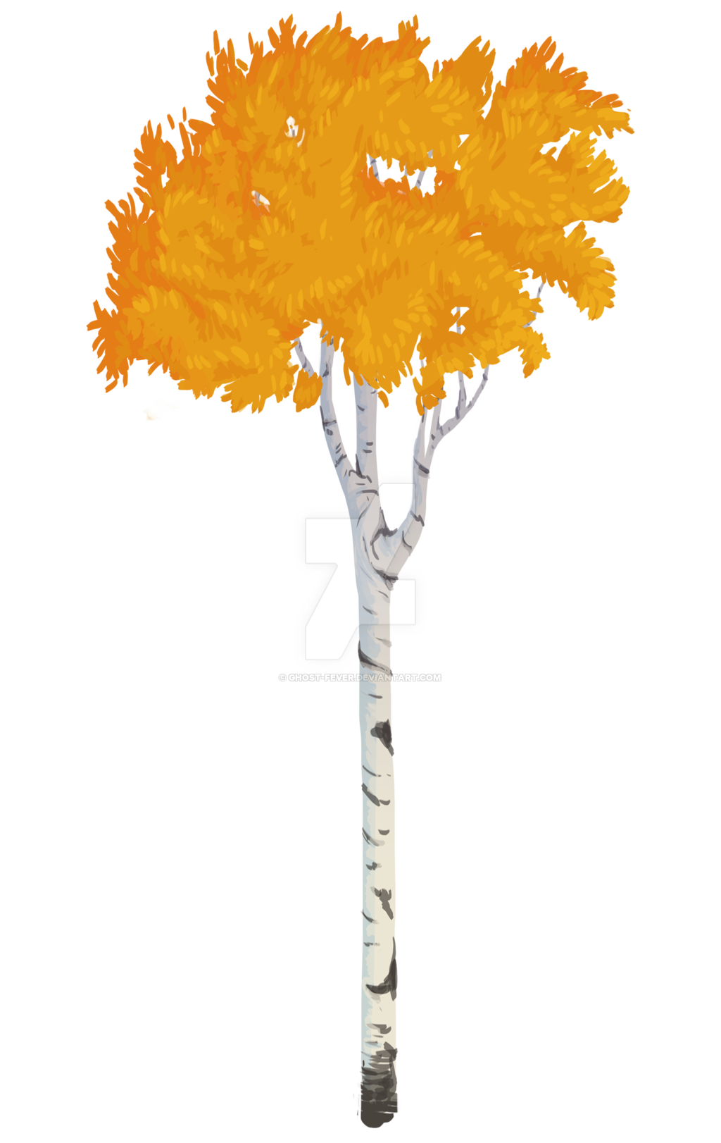 1024x1622 Aspen Tree Vector Style
