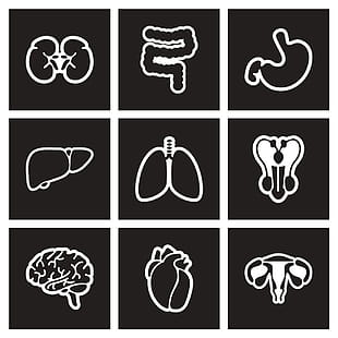 310x310 Free Assembly Vectors Graphics Download Uihere