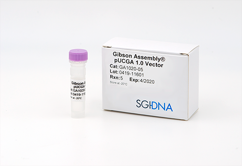 500x343 Gibson Pucga Sub Cloning Vector Flow Cytometry