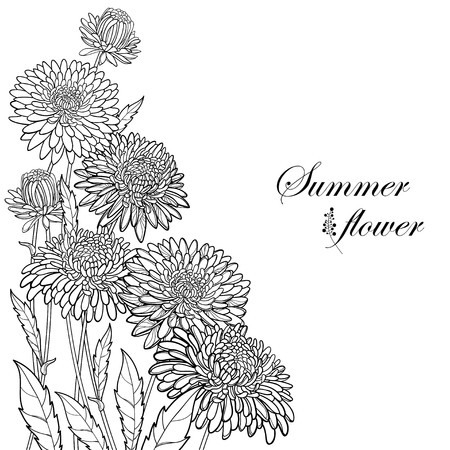 450x450 Corner Bouquet With Outline Aster Flower, Ornate Foliage And Bud