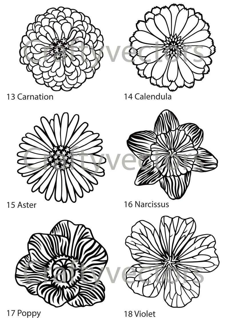 794x1112 Flower Vector Designs Etsy