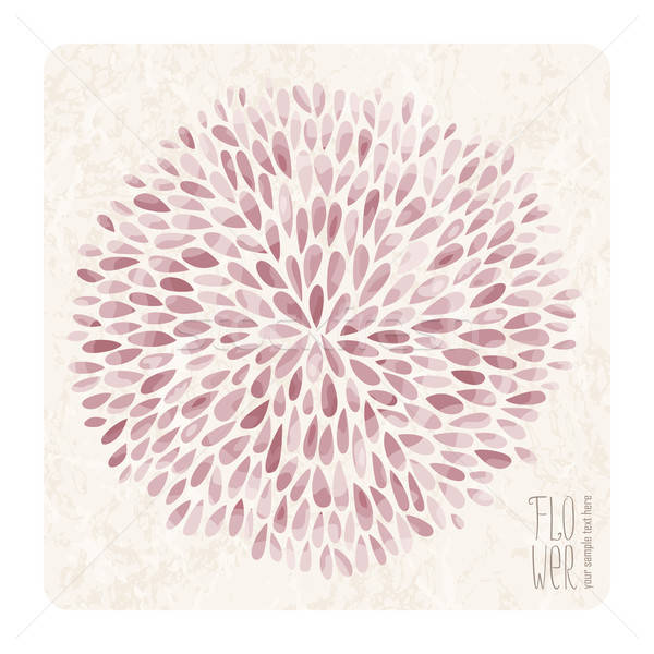 600x600 Aster Flower Vector Illustration Natalia Vorontsova