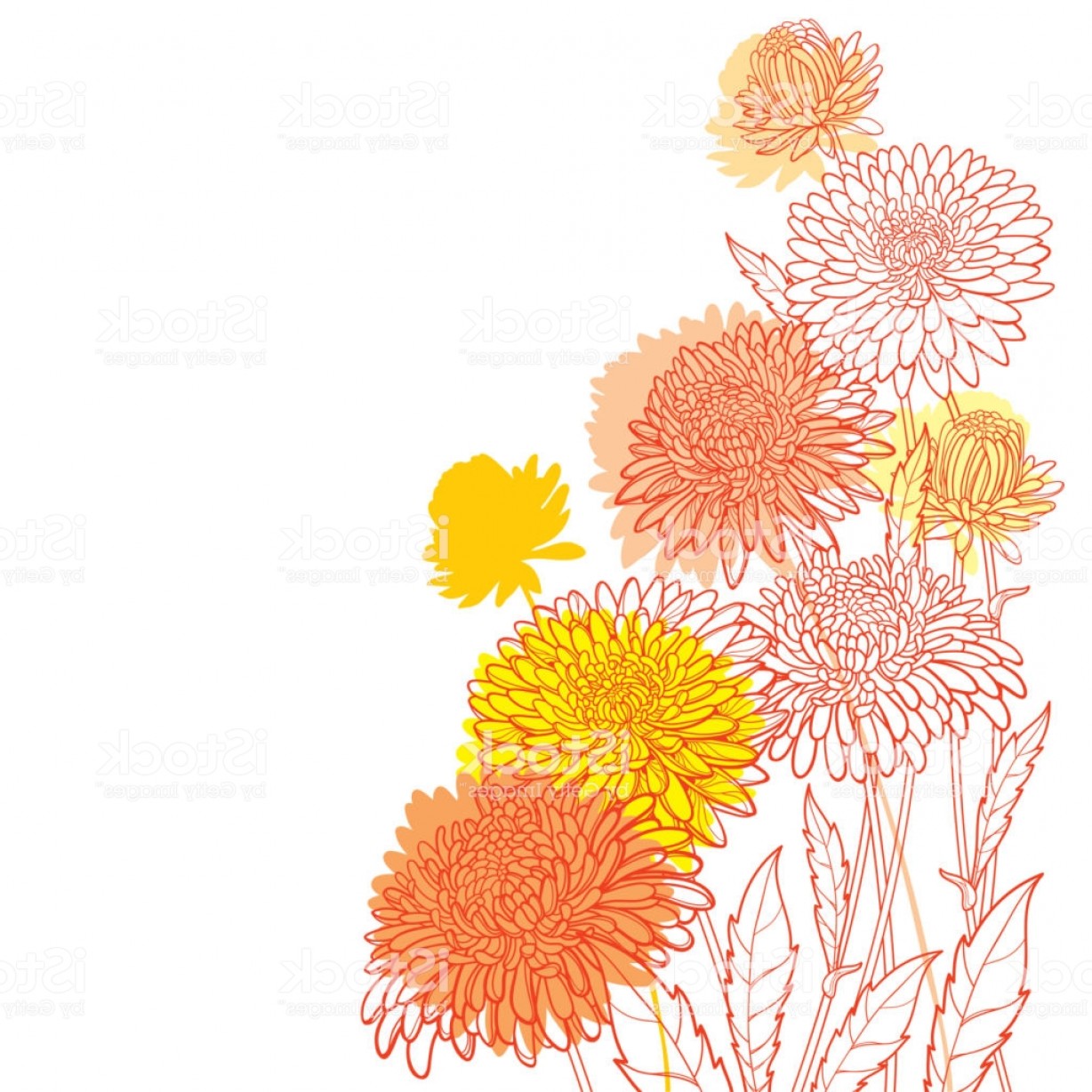 1228x1228 Vector Corner Bouquet With Outline Aster Flower Ornate Leaves
