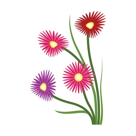 450x450 Vector Illustration Of Orange Purple And Red Aster Flowers