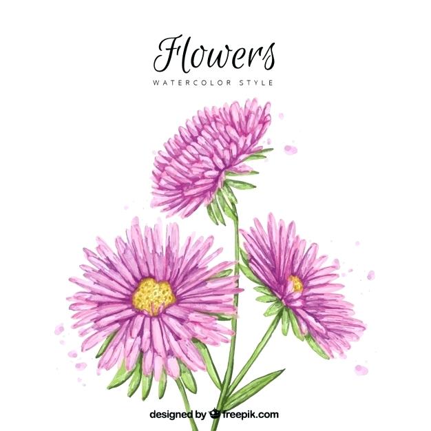 626x626 Alpine Flowers Vector