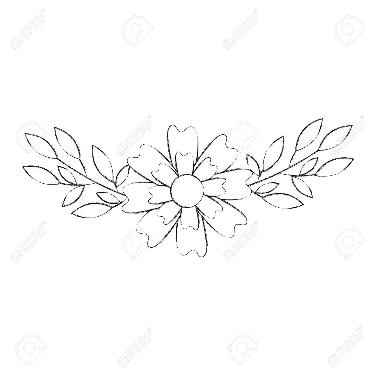 Aster Flower Vector at Vectorified.com | Collection of Aster Flower ...