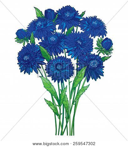 409x470 Vector Bouquet With Outline Blue Aster Flower, Ornate Green