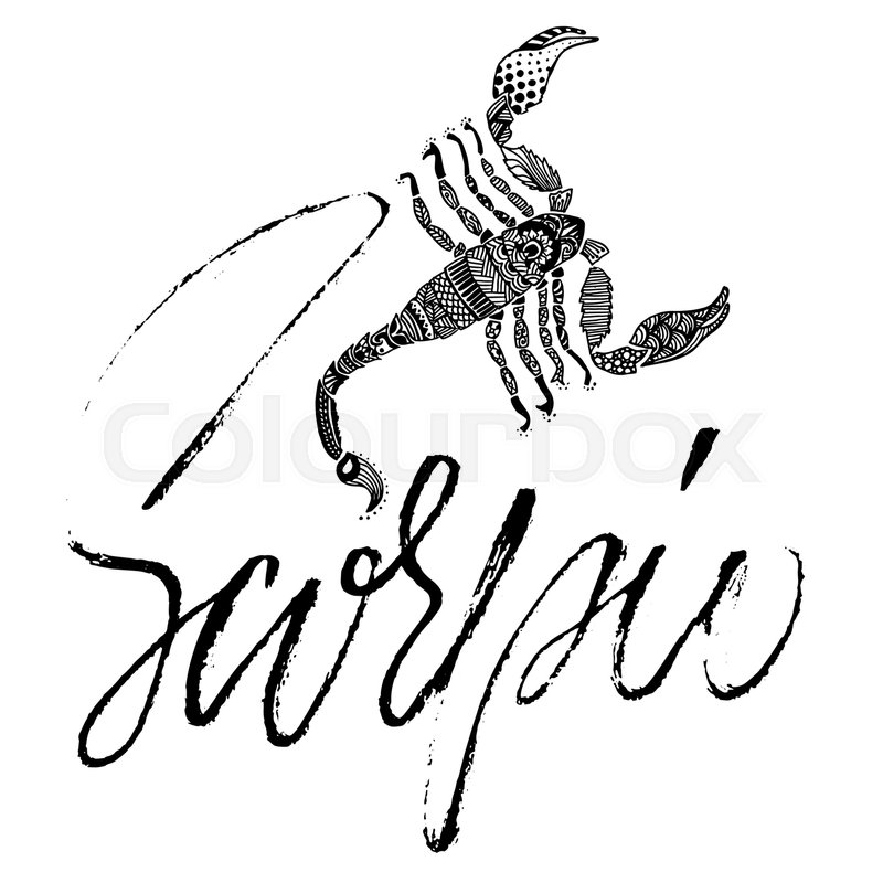 800x800 Zodiac Sign Of Scorpio Astrology Stock Vector Colourbox