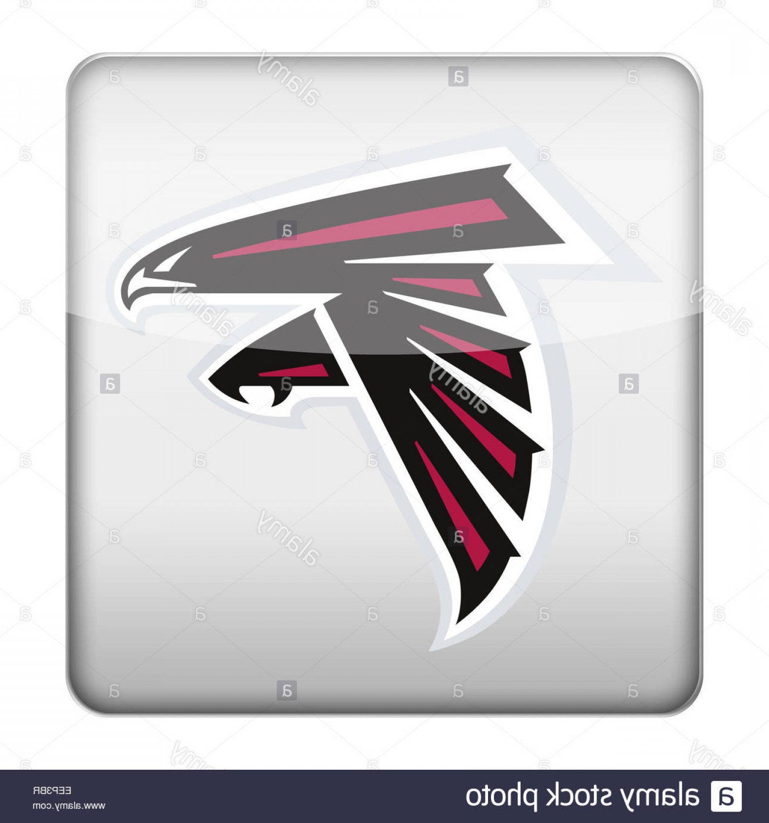 1560x1668 Stock Photo Atlanta Falcons Logo Icon Handandbeak