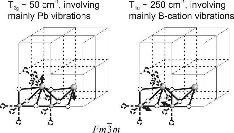 756x431 Diagram Of The Atomic Vector Displacements Of The Phonon Mode Near