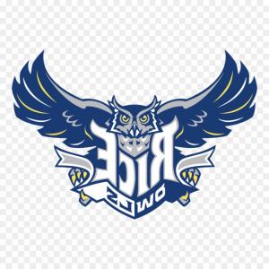 300x300 Auburn University Logo Vector Hoodamathrun