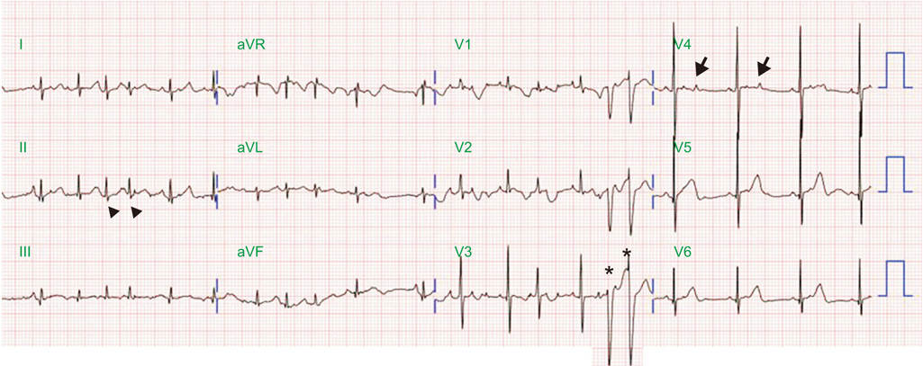 1025x407 Koreamed Synapse