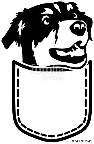 326x500 Australian Shepherd Pocket Stock Image And Royalty Free Vector