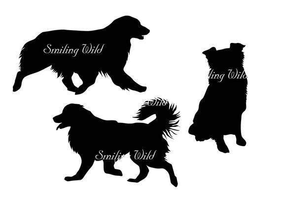 570x403 Australian Shepherd Silhouette Vector Graphic Art Dog Etsy
