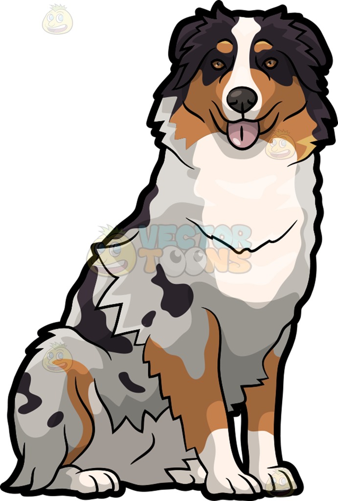 691x1024 Australian Shepherd Clipart Free Cliparts Download Images