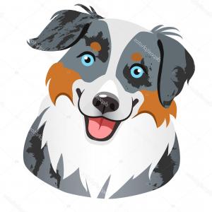 Australian Shepherd Vector at Vectorified.com | Collection of ...