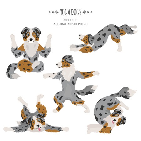450x450 Yoga Dogs Poses And Exercises Australian Shepherd Clipart Vector