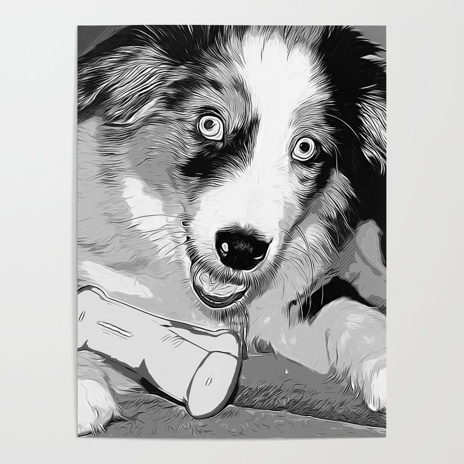1500x1500 Australian Shepherd Aussie Dog Puppy Vector Art Black White Poster