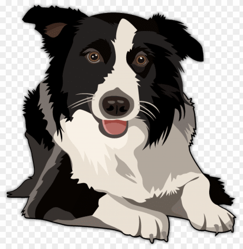 Australian Shepherd Vector At Collection Of