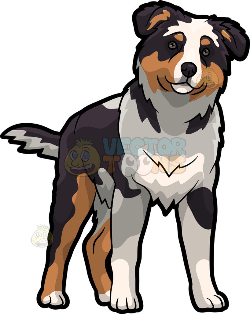 818x1024 Australian Shepherd Clipart Free