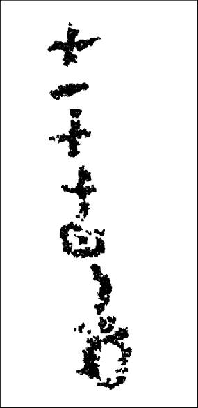 285x585 Automatic Vectorization Of Lachaud's Photograph With Corel Draw