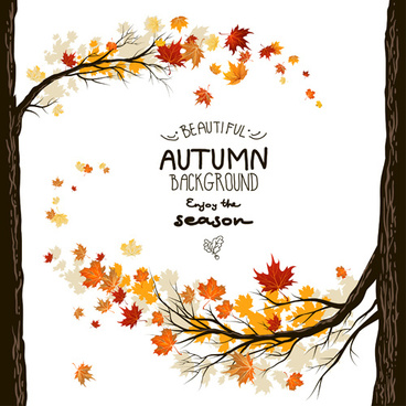 368x368 Autumn Leaves Background Free Vector Download