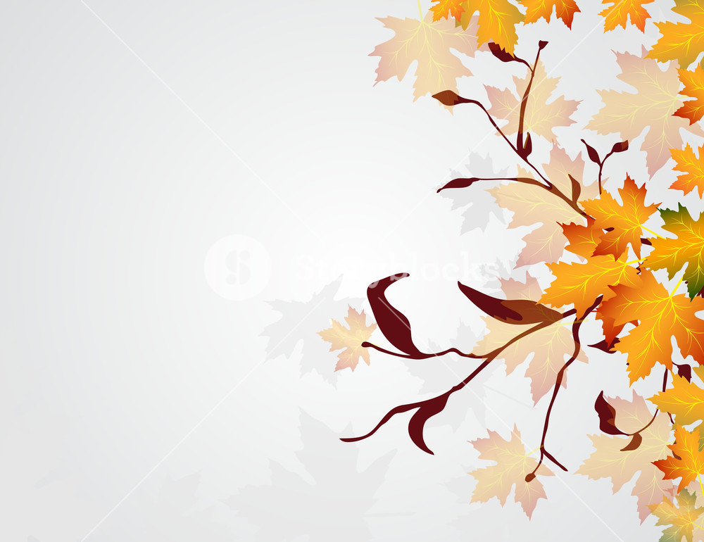 1000x770 Vector Autumn Floral Background Royalty Free Stock Image